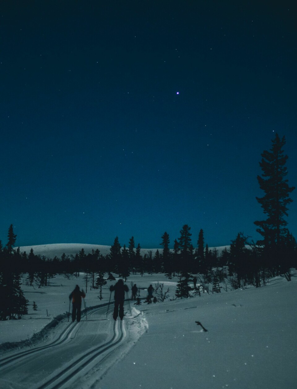 STJERNEKLART: Nypreparerte skiløyper, 15 minusgrader og stjerneklart.