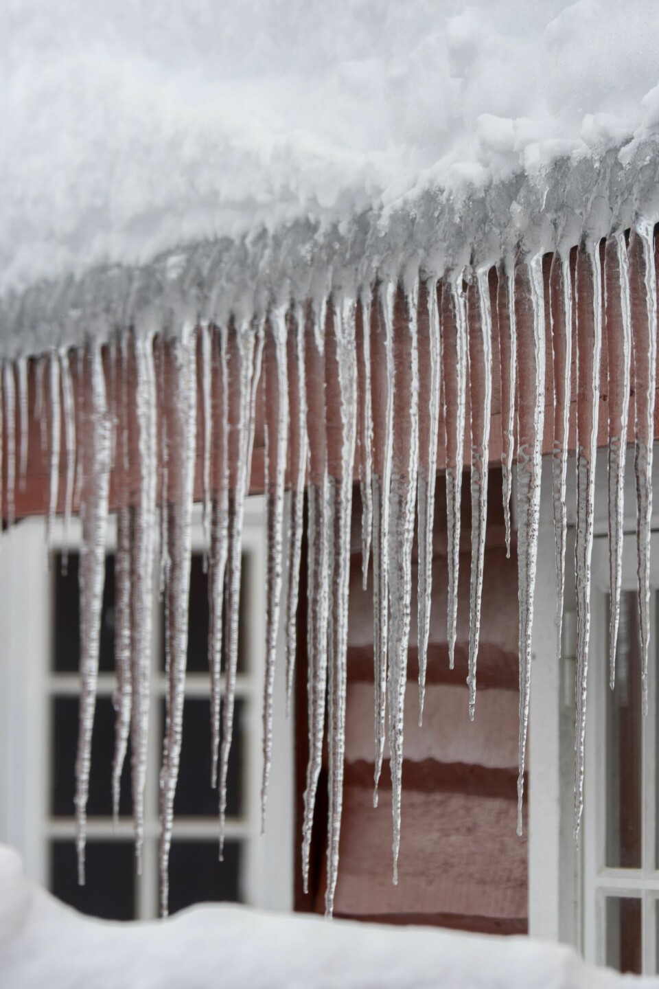 IstapperVinteren byr på en ny verden. Der fluer, humler og mygg dominerte for bare noe måneder siden, er hus og landskap kledd i hvit snø og blank is.