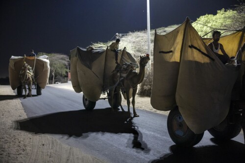 <b>BEHAGELIG TEMPERATUR:</b> Tidlig om morgenen kommer tre kamelbønder gjennom gatene på vei mot markedet.
