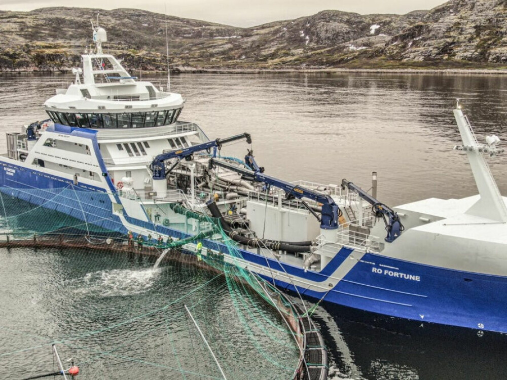 <b>NORSK FRAKT:</b> Brønnbåten Ro Fortune er blant skipene som frakter smolt fra de russiskeide klekkeriene i Midt-Norge. Jakub Godzimirski (innfelt) mener russerne er avhengig av norsk teknologi innen fiskeoppdrett.
