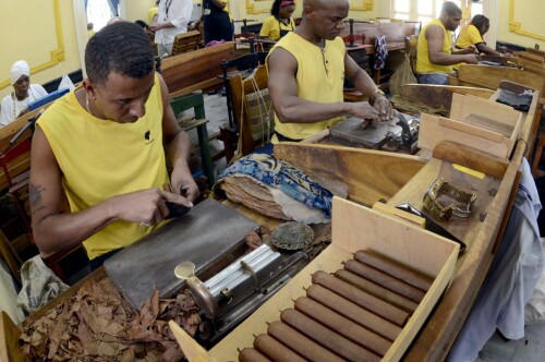 <b>SIGARER:</b> På fabrikken i Havanna produseres det 2,4 millioner Cohiba-sigarer hvert år.