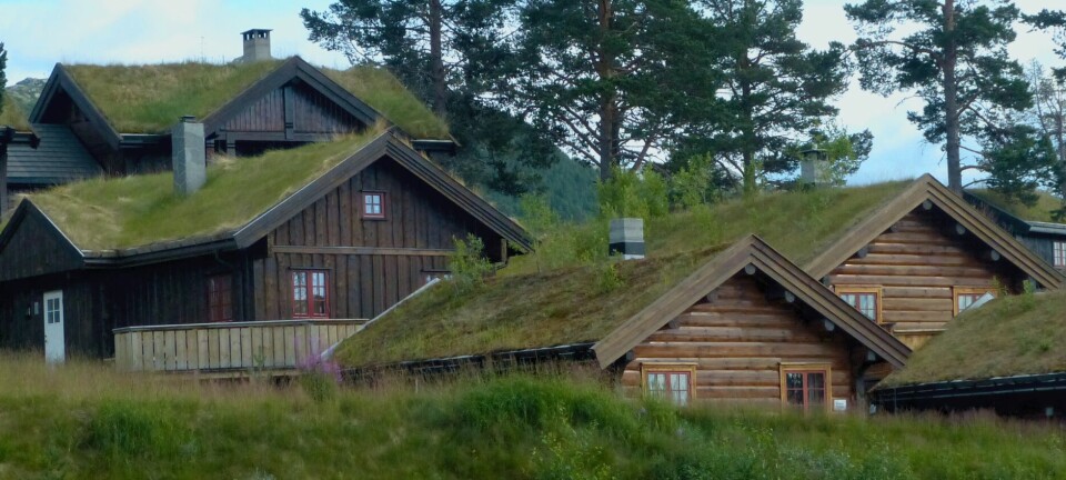 Vi har en hytte på fjellet som vi har leid ut fire uker i sommer for til sammen kr 60 000. Må vi betale skatt?