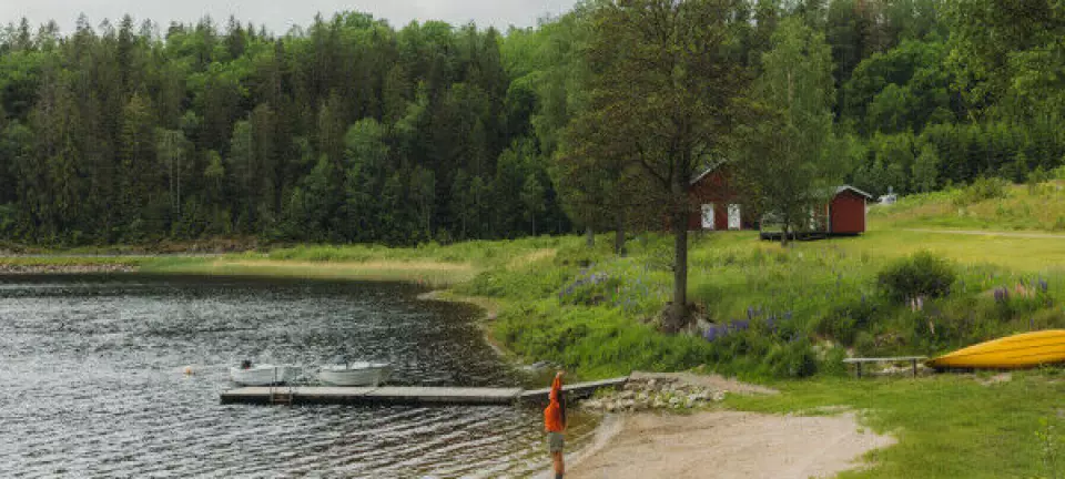 Naboen har solgt sin hytte, inkludert halvparten i strandtomta vi eier sammen. Har jeg forkjøpsrett på andelen?