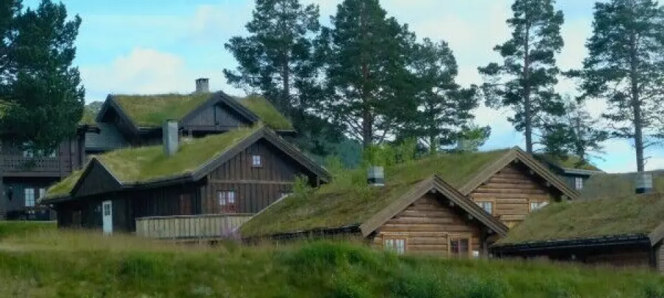 Vi har en hytte på fjellet som vi har leid ut fire uker i sommer for til sammen kr 60 000. Må vi betale skatt?