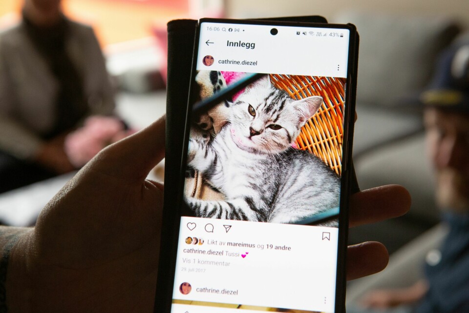 KATT SOM GÅR IGJEN: Lilli så en spraglete katt, men den døde for flere år siden, og det var ingen mulighet for at Lilli kunne vite det. Bildet av katten lå bare på Cathrines lukkede instagramprofil, og fantes ingen andre steder i huset.
