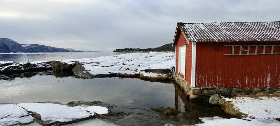 Grunneier mener vi ikke kan innløse festekontrakten og kjøpe nausttomten, selv om det har gått 30 år. Stemmer dette?