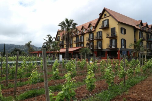 <b>VIN OG OVERNATTING:</b> En av Madeiras mange vingårder. Denne fungerer også som hotell, og har en svært populær restaurant på området. 