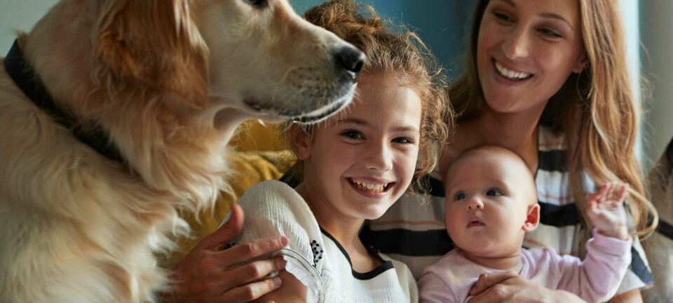 Den nye kjæresten min hater hunder. Hvordan i all verden skal vi få dette til å fungere?