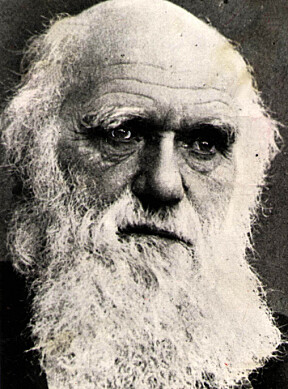 <b>UTSETTER:</b> Darwin brukte over 20 år på sitt hovedverk Artenes opprinnelse. Barbering kan også ha stått høyt oppe på listen over oppgaver han utsatte.