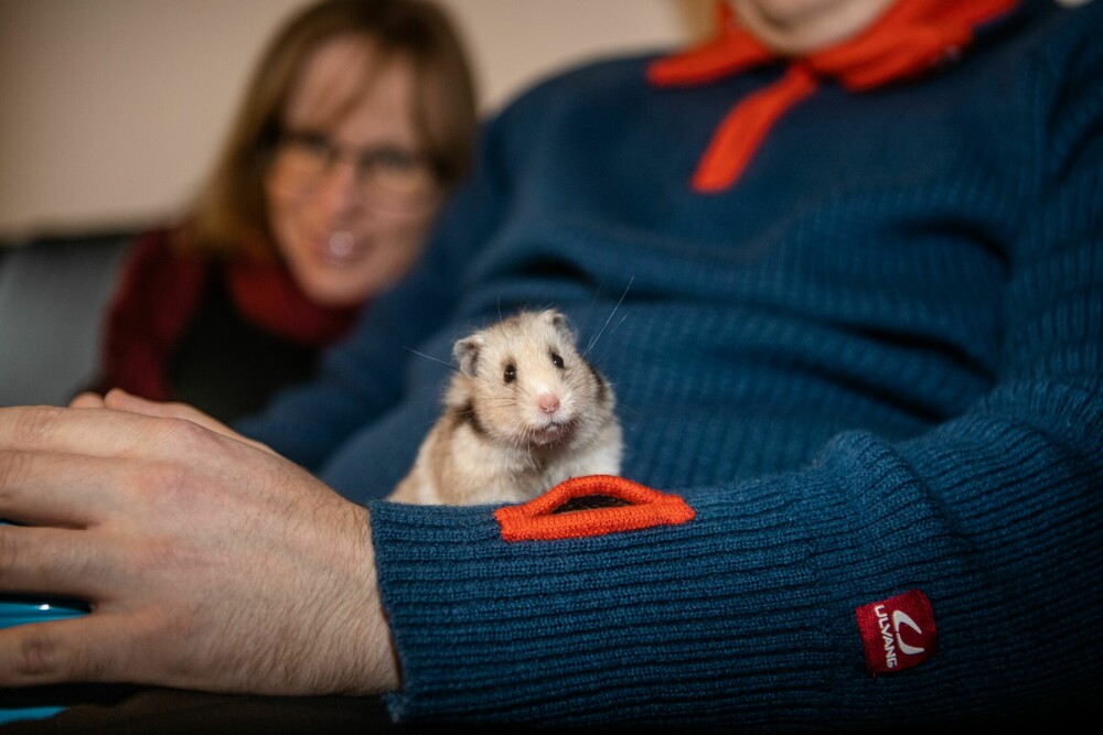 <b>NYTT FAMILIEMEDLEM:</b> Hamsteren de to skaffet seg tidligere i år, er et kjærkomment medlem i familien.