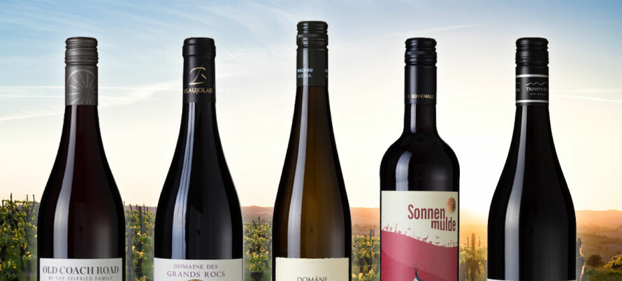 Her er de fem beste vinkjøpene blant nyhetene i november