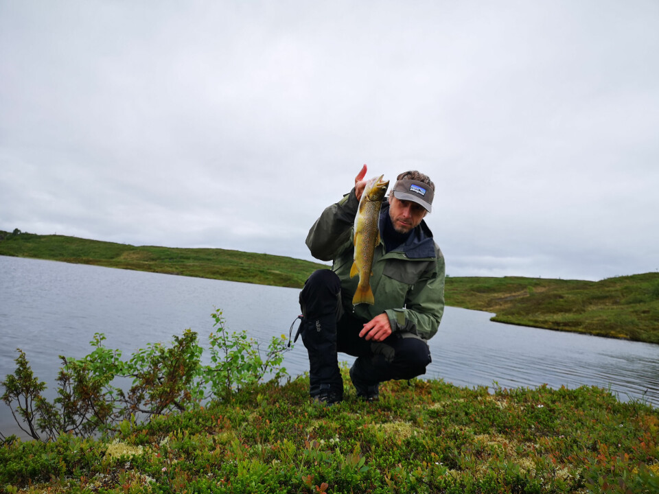 GRÅVÆR OG FISKEBETT: Artikkelforfatteren med en av mange halvkilosfisker som kom på land i løpet av turen.