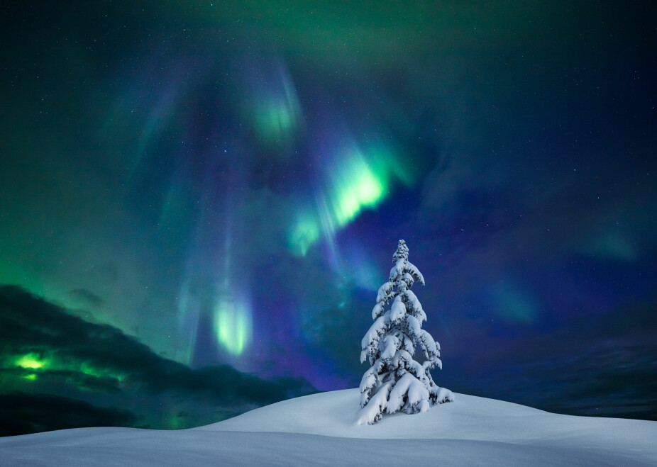 TEST DEG SELV MED QUIZ OM NORSK NATUR: En
kveld etter at julestria er over, kan du ta deg
tid til en liten spørrerunde
fra naturens verden.