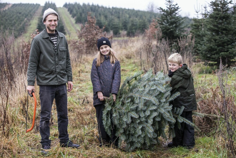<b>TRADISJON:</b> Martin fører tradisjonen videre når han går ut på jordet og feller sitt eget juletre. Her er han sammen med sin nevø Viggo og niese Ellen. 