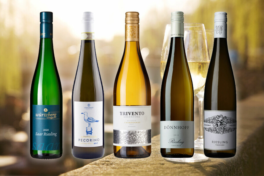 GODE KJØP: Disse fem hvitvinene er alle gode kjøp, ifølge Arnie Stalheim.