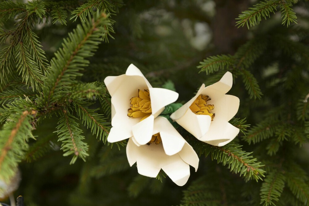 <b>SELVLAGET: </b>De nydelig Märta-liljene på treet er laget av papir. De lærte Geir Thomas å lage på Diakonhjemmet, som ifølge Geir Thomas har landets vakreste juletre, pyntet med sølv og hvite liljer, som er jomfru Marias blomst. Pyntingen er en ubrutt tradisjon som Diakonhjemmet i Oslo har holdt på siden 1880-årene.