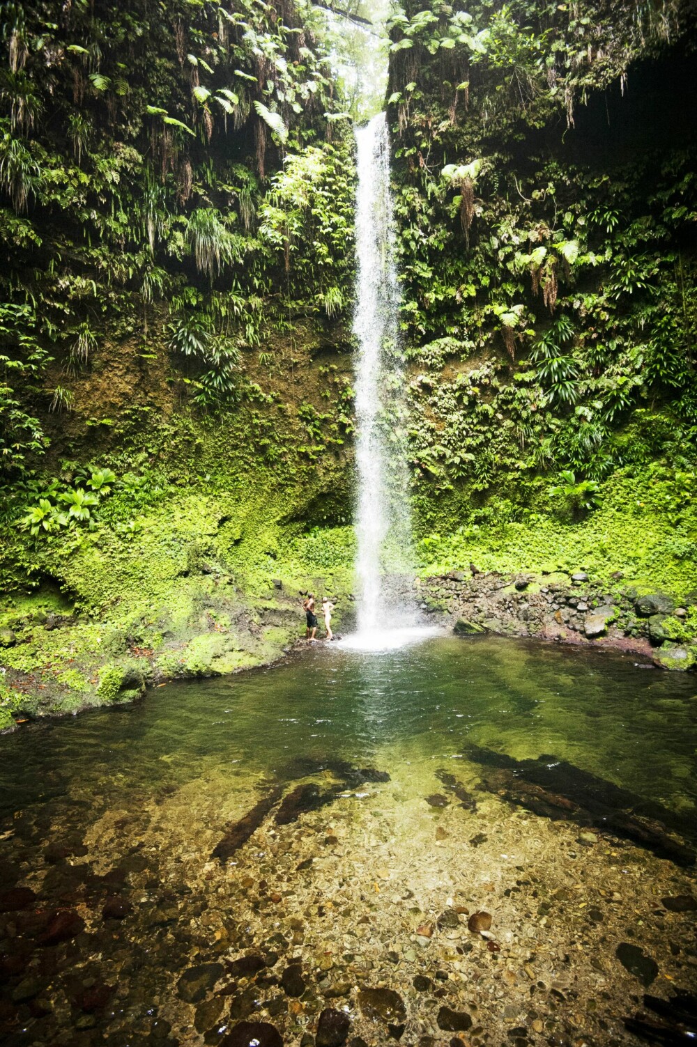 <b>BASSENG:</b> Emerald Pool er kanskje Dominica største attraksjon. Den passeres på Waitukubuli-stien, men fossefallet er nok ikke alltid like imponerende som her. 