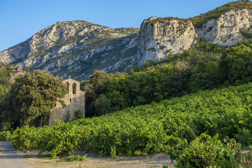 <b>VIN:</b> Languedoc-Roussillon, som nå er en del av Occitanie-regionen, står for nesten en tredjedel av den franske vinproduksjonen.