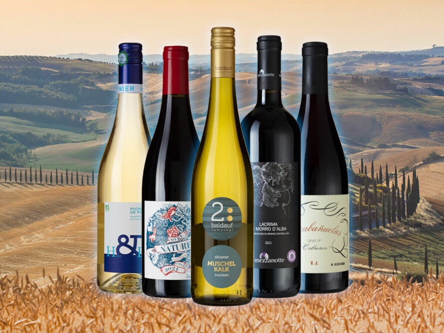 GODE VINKJØP: To franske, én spansk, én tysk og én italiensk.