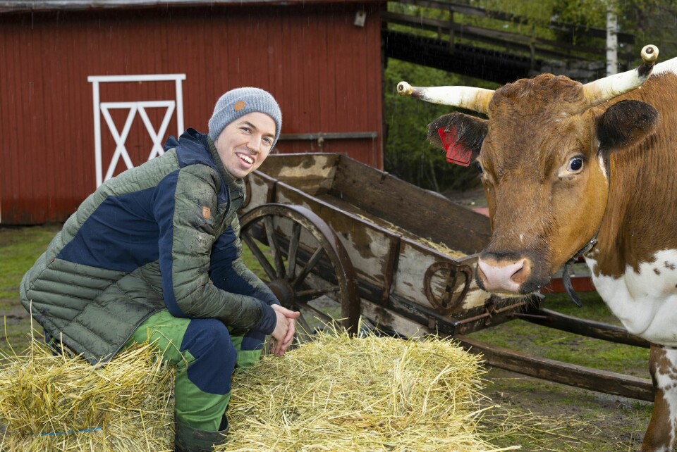 FARMEN KJENDIS: – Jeg var forberedt på at det skulle være ganske hardt, men jeg visste ikke at det skulle være så hardt. Og så trodde jeg ikke at jeg kom til å bli så nære de andre som jeg ble, sier Aslak om «Farmen kjendis».
