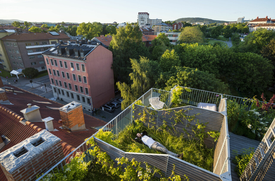 Grønn urbanisering. D35 er et prisbelønnet hus på Dælenenga i Oslo, med en frodig felles takhage, tegnet av Elemento Arkitekter.