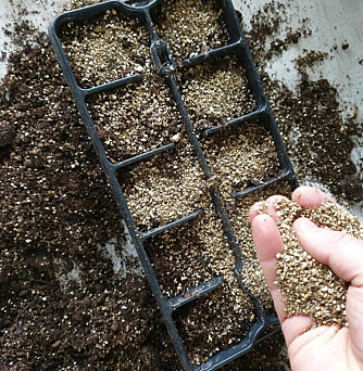 Vermiculite holder på fuktigheten og slipper lys igjennom til frøene. I tillegg forhindrer det til en viss grad sopp og råte.