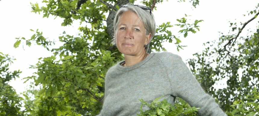 Dødsfallene skapte frykt: – Det var unge, friske mennesker som plutselig fikk hjertestans og døde