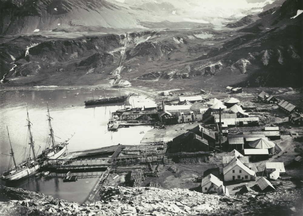 <b>GULLGRUVE:</b> Grytviken ble et Klondyke innen hvalfangst. Det var Nordenskjöld-ekspedisjonen som kalte bukta Grytviken etter de store jerngrytene som britiske selfangere hadde brukt til å koke spekk. 