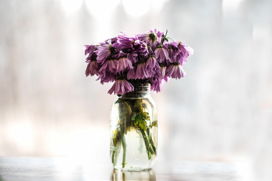 VISSENT: Pass på at vasen er helt ren før du setter nye friske blomster i den, det kan forlenge levetiden.