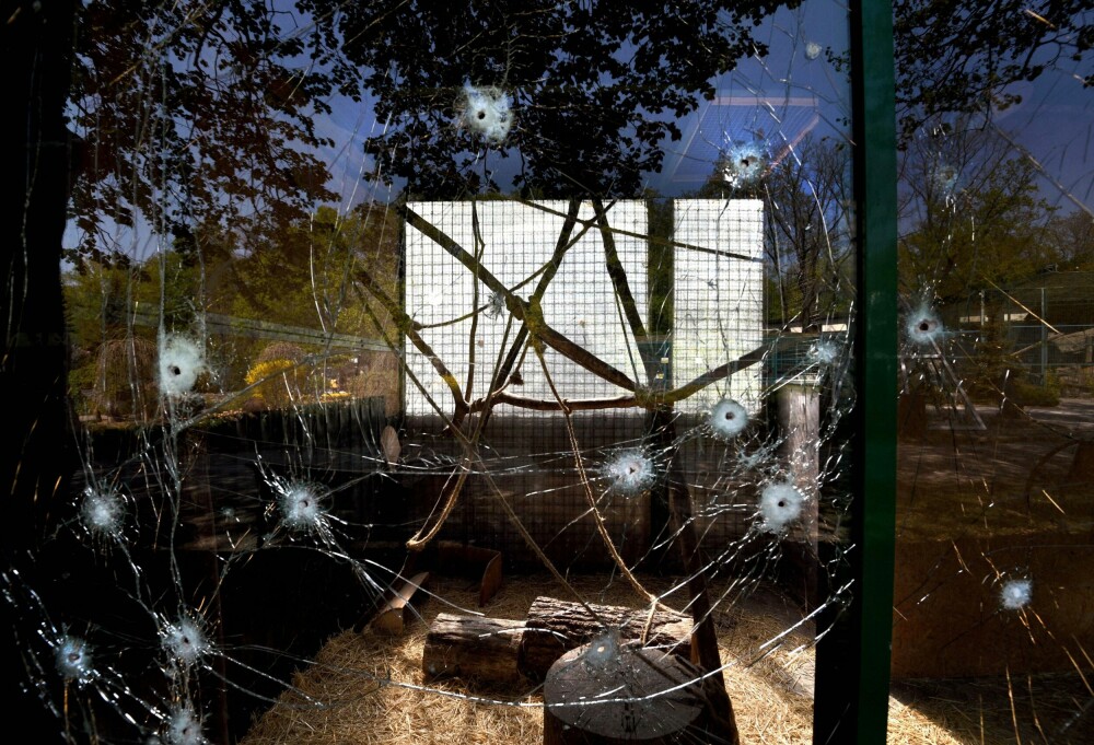 <b>ETTER BOMBEREGNET:</b> Bildet viser ødeleggelser etter russisk bombing av EcoPark Zoo i utkanten av Kharkiv. Ammunisjon lå i etterkant spredt rundt om i parken.