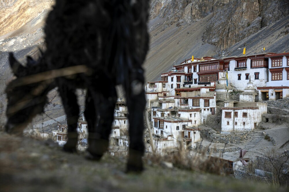 <b>KLOSTER:</b> Lingshed Gompa (buddhistkloster), ble bygget i 1440. Tidligere var dette blant de mest isolerte klostrene i hele Ladakh. Nå er veien her, men klosteret er fortsatt et fantastisk sted å besøke.