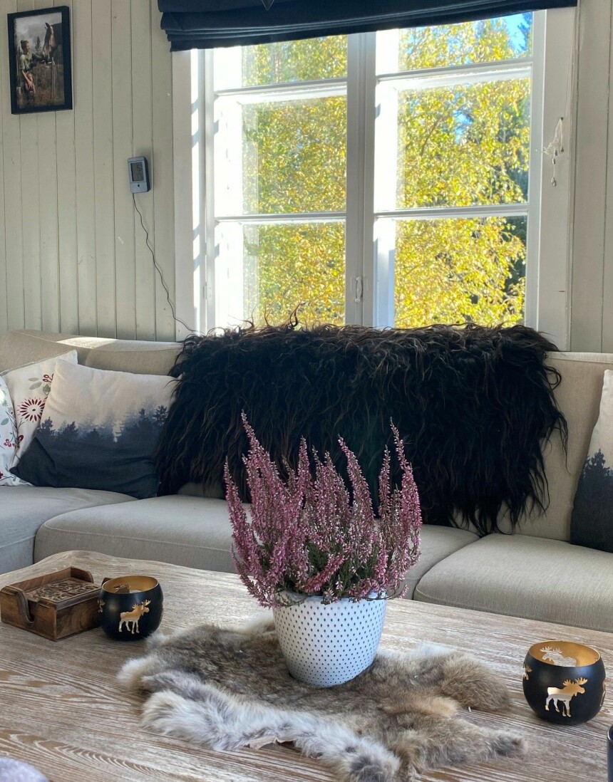 STUA: Markus og Eline har valgt å ikke ha TV i huset.