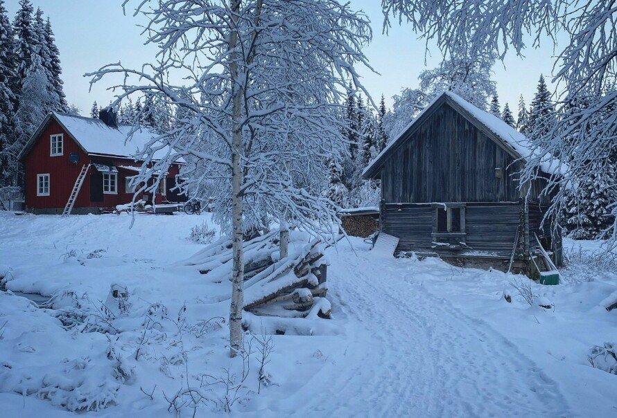 HUSET OG LÅVEN: Kjæresteparet ønsket å leve 'den enklere liv'. De finner mye glede i naturens atmosfære.
