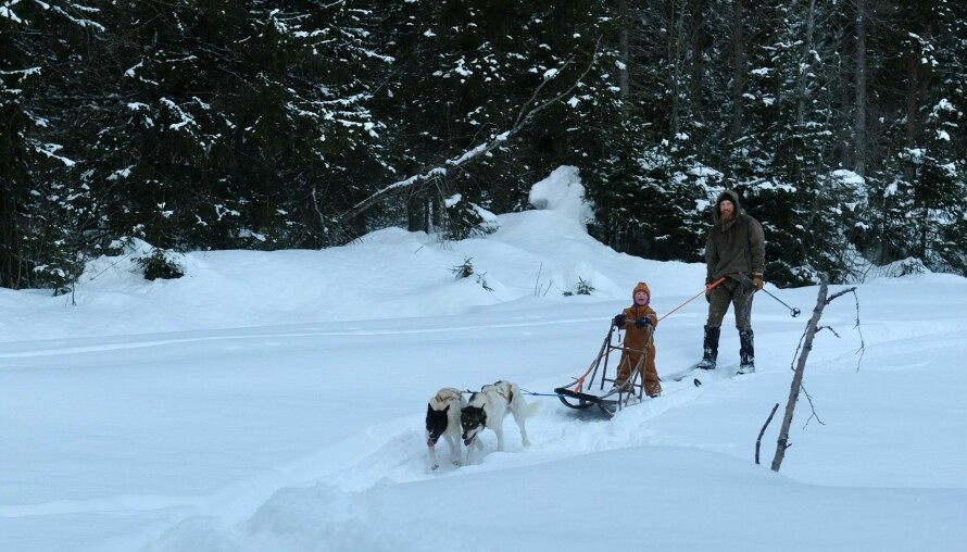 HUNDEKJØRING: Markus har lenge hatt en stor interesse for hundekjøring. Det var derfor viktig for ham å flytte til et sted med gode snøforhold.