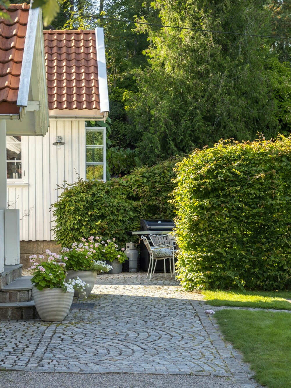 HEKK: En hekk kan også brukes til å skape «hemmelige» rom i hagen. Bak denne høye, ovale agnbøkhekken åpenbarer det seg en lun og vakker sitteplass på gamle brostein, med fantastisk sjøutsikt. Foto: Jane Ødegaard