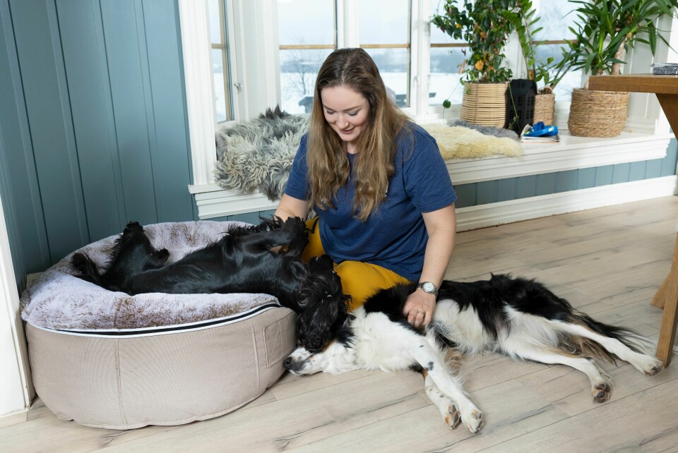 I PARADIS: Luring og Gass vet å nyte livet hjemme hos Maren og familien.