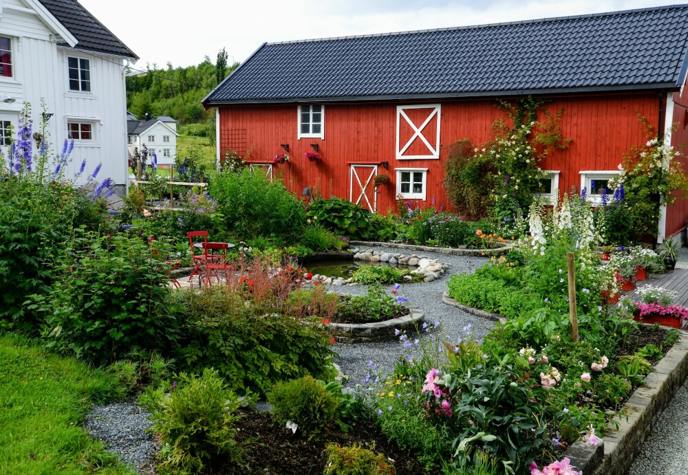 Ta turen innom Livs småbruk på Skatval om du er i Trøndelag i sommer.