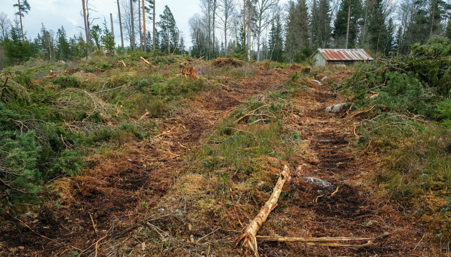SKADET SKOGVEI: Hytteeier er frustrert over at skogveien har blitt ødelagt, men ikke rettet opp.