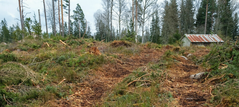 Veien «min» har blitt skadet uten å bli reparert. Hva sier lovverket om dette?