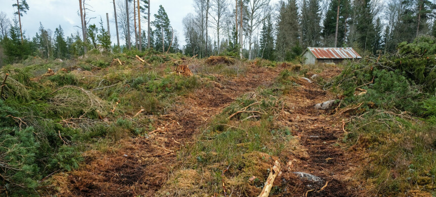 Veien «min» har blitt skadet uten å bli reparert. Hva sier lovverket om dette?