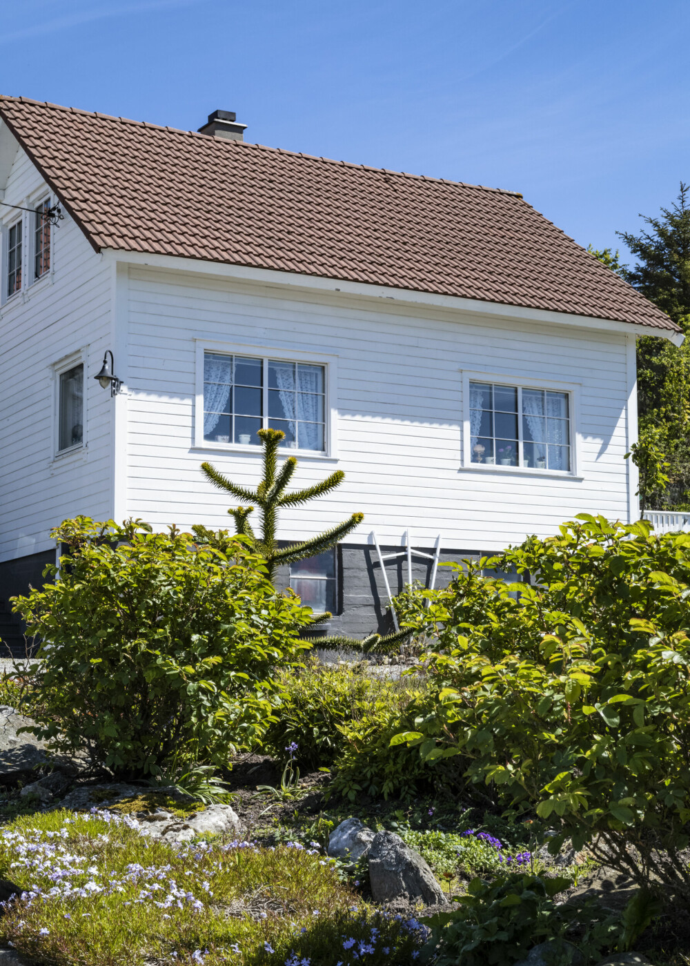 HUS FRA 1902: Huset til Torhild ble bygget i 1902 av bestefarens søskenbarn. Slekta på morssiden har bodd på Høines i seks generasjoner.