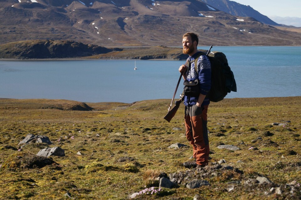 FRODIG: I Bellsund er det usedvanlig frodig og varmt, med mye liv både i form av planter og dyr.