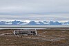 Svalbard Rundt Med Seilbåt - Villmarksliv