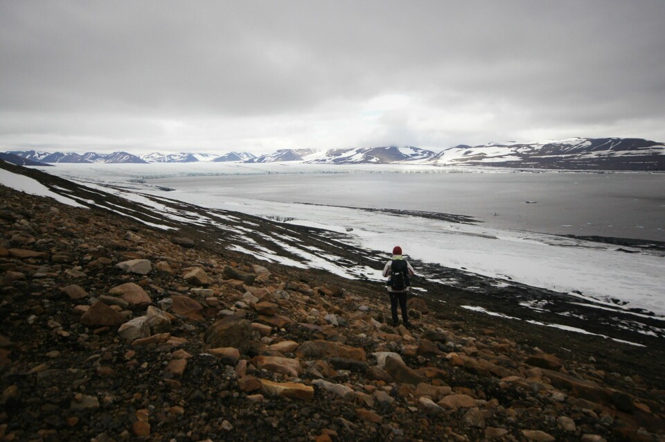 Forholdsregler i isbjørnlandFør vi i det hele tatt entrer jolla, tar vi alltid en speiderunde etter bjørn med kikkerten. Så går vi i land på en plass med god oversikt, der terrenget ikke kan by på nære overraskelser, samt at jolla dras godt opp. Når vi vandrer følger vi samme tankegang, og følger heller rygger og åpne sletter kontra de mest uoversiktlige morenene. Det handler om å minimere sjansen for et plutselig møte med isbjørn på nært hold. Ikke bare for egen sikkerhet, men like mye for bjørnens. Med oss på land har vi alltid rifle, ammunisjon, signalpistol og satellittsender, samt rikelig med lappesaker til jolla.