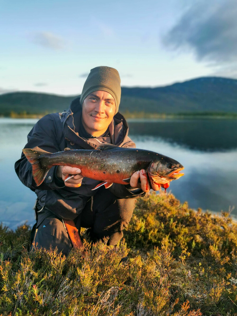 <b>GROM FISK:</b> Storrøya beit i solnedgangen og ble kveldsmat for fiskeren.