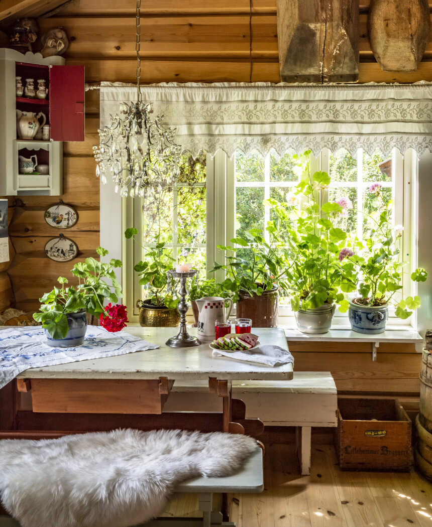 AFFEKSJONSVERDI: Huset er innredet med ting som har affeksjonsverdi for Heidi, arvegods, vakre bruktfunn og ellers ting med historie og sjel. I vinduskarmen blomstrer pelargoniene. – De eneste jeg egentlig får til, sier Heidi.