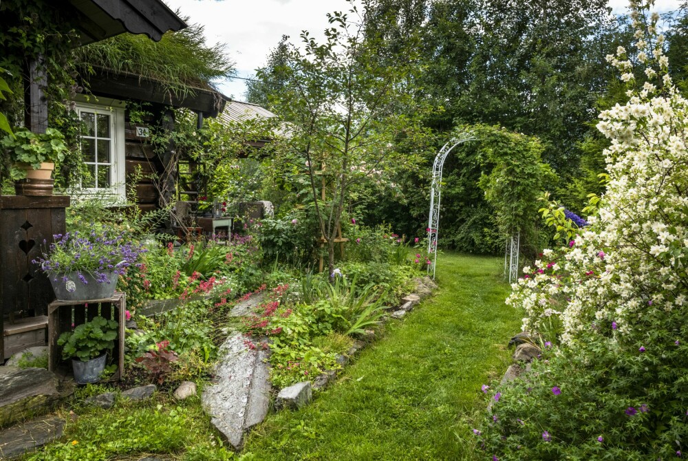 HAGE: Gjennom ni år har Heidi opparbeidet en hage i engelsk cottage garden-stil. Jo mindre hun behøver å luke, jo gladere er hun!