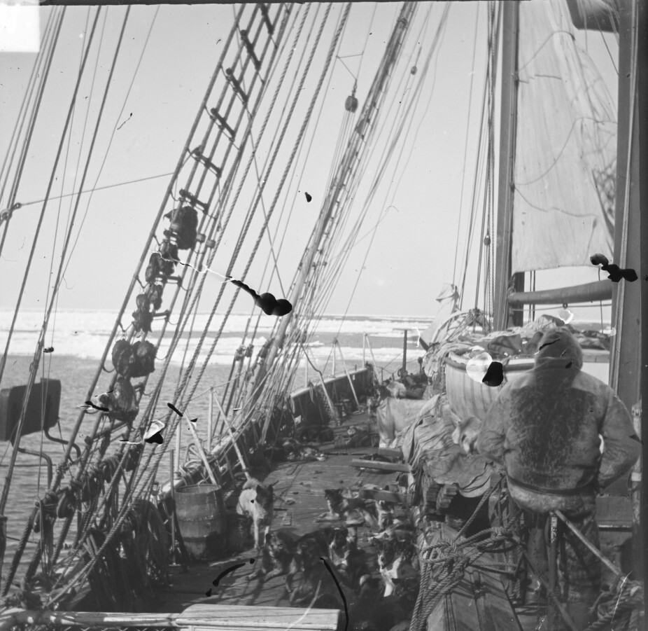 <b>HARDT VÆR:</b> Etter Roald Amundsens ferd til Sydpolen ble «Fram» seilt til Buenos Aires og så til Panama­kanalen. Måned­ene i tropisk farvann ble ødeleggende for den stolte skuta.