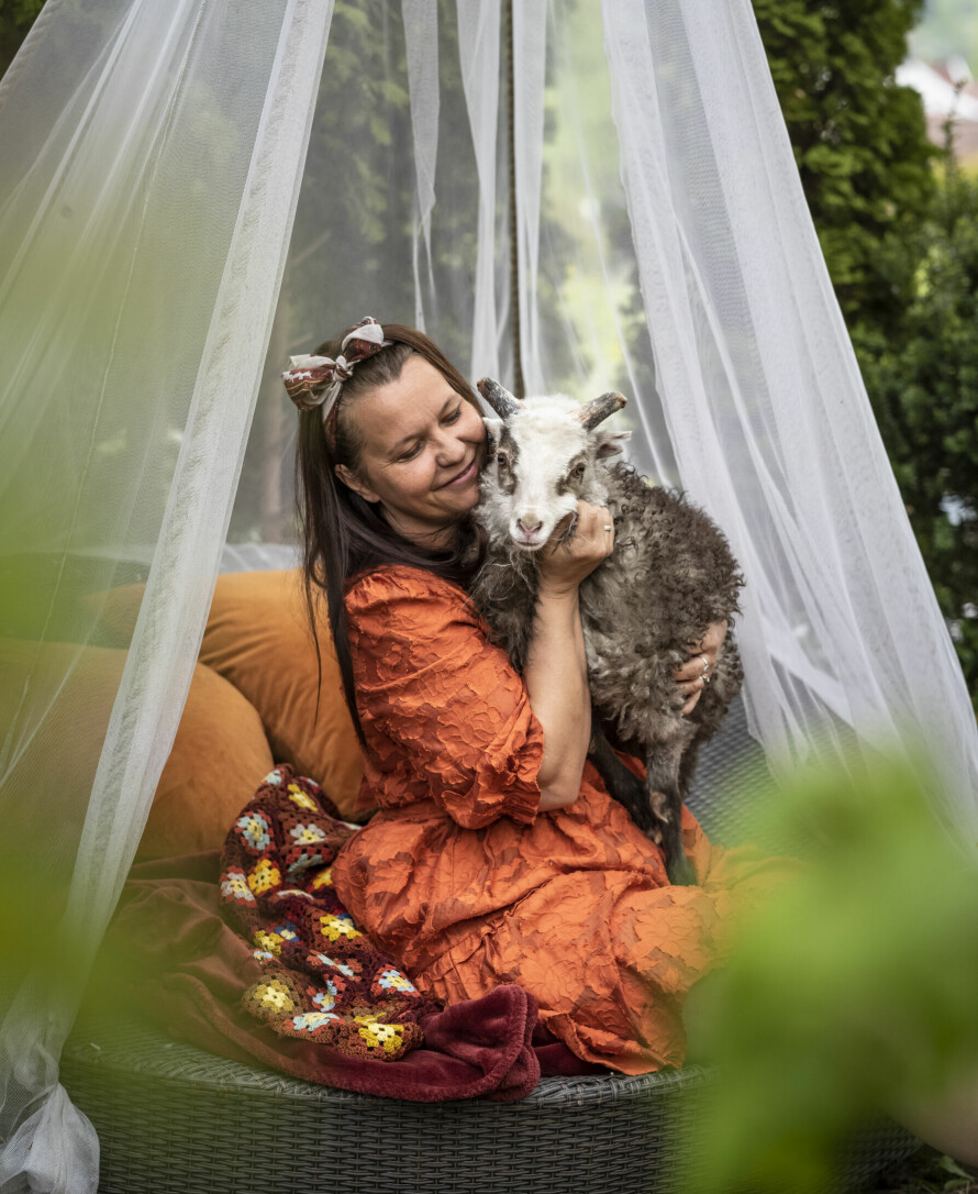 VILLSAU: Villsauen Hans Harald Wergeland har bodd herskapelig de første fire ukene av livet.