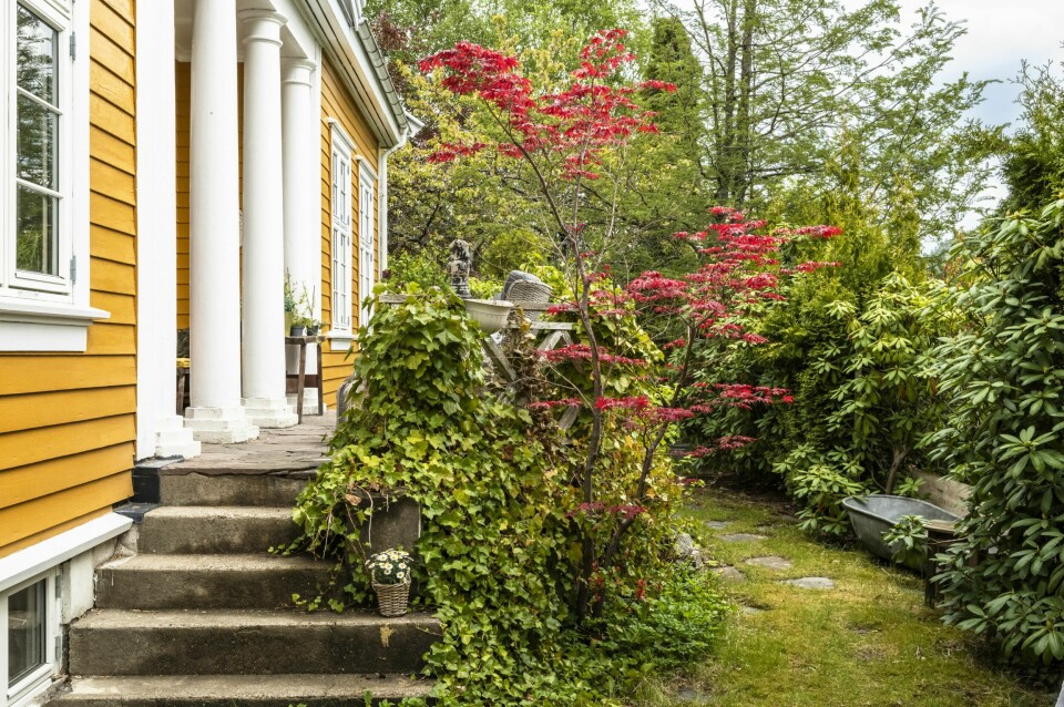 HAGE: Merethe og Sverre er glad i den overgrodde hagen som skaper en usjenert oase rundt hjemmet deres.